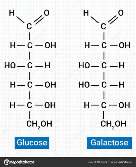 Chemical Structure Glucose Galactose Stock Vector Image by ©samjore ...