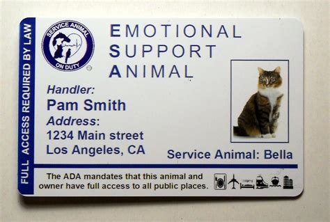 Emotional Support Animal ID Card / Badge Service Cat Service Feline ID Card 32 | eBay