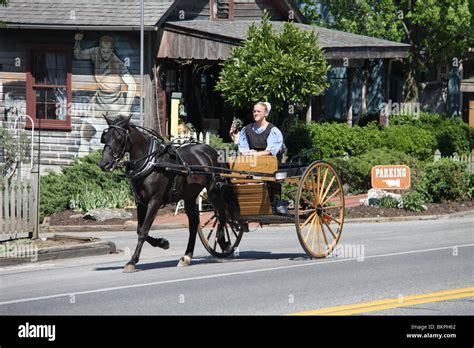 An Amish lady uses a horse-drawn buggy to travel on a Lancaster County, PA road Stock Photo - Alamy