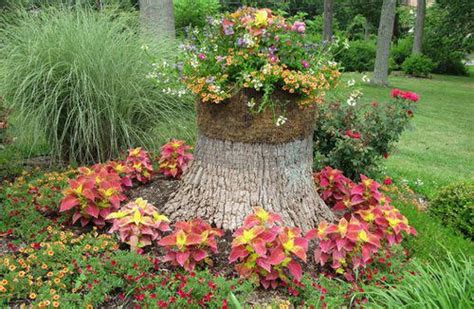 32 Amazing Flower Bed Ideas For Backyard & Garden That Make Anyone Look ...