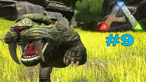 SABERTOOTH TAMING!!! CRAZY KITTY! Ark Survival Evolved EP 9 (Ark ...