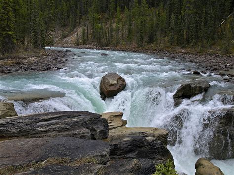 Whitewater Rafting Sunwapta River in Jasper, Alberta | Canadian Rockies ...