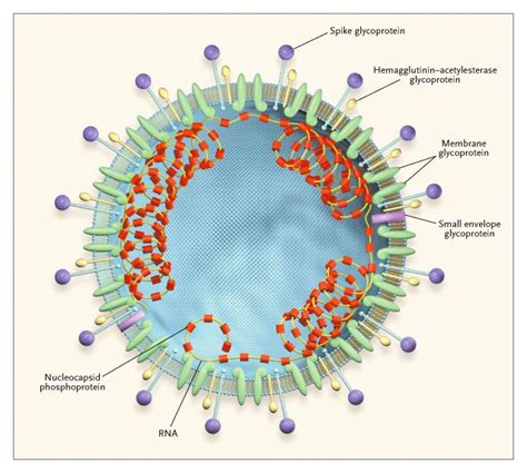 SARS-Associated Coronavirus | NEJM