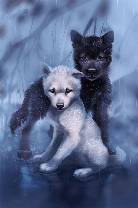 Black And White Wolf Pups