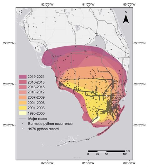 Florida Python Map 2024 - Lotta Rhiamon