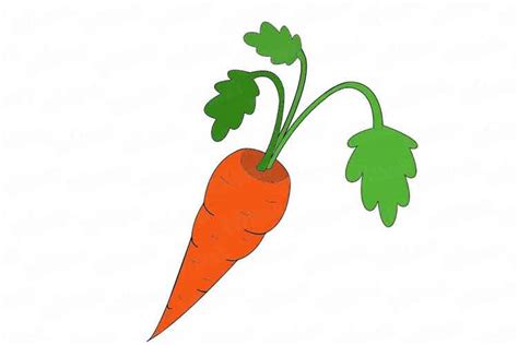 Carrot Drawing: Cute, Step by Step, Cartoon, Line and for Kids