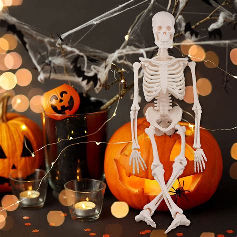 Buy Ultrassist Mini Human Skeleton Model, Portable 17” Skeleton Bone Model with Removable Skull ...