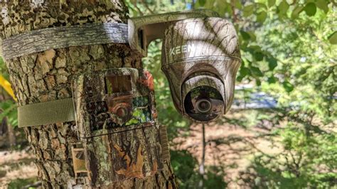 The best trail cameras for keeping an eye on your backyard wildlife