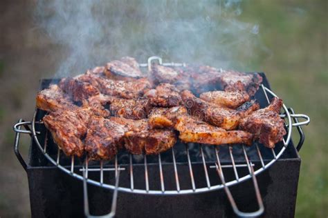 Bbq lamb chops stock photo. Image of outdoors, cook, barbecue - 26896984