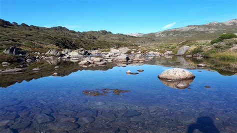 Snowy River at Charlotte's Pass : r/australia