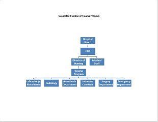 31+ Free Organogram Templates & Organizational Charts