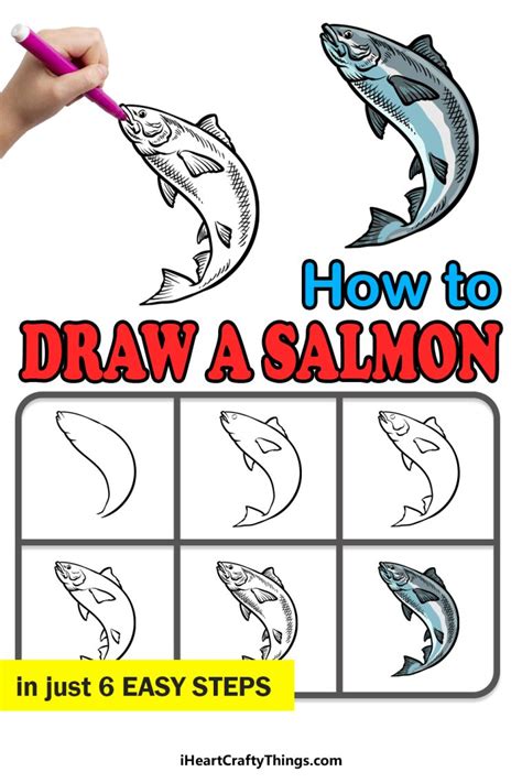 Salmon Drawing - How To Draw A Salmon Step By Step