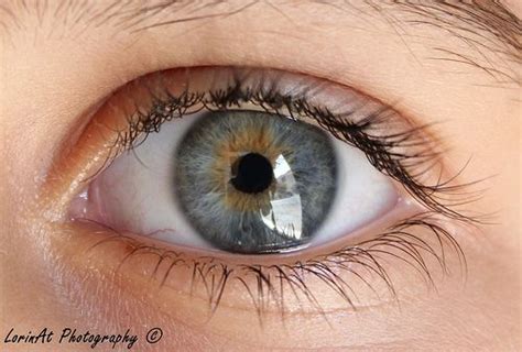 pictures of blue-grey eyes - Google Search | Gray eyes, Eye photography, Eyeball art