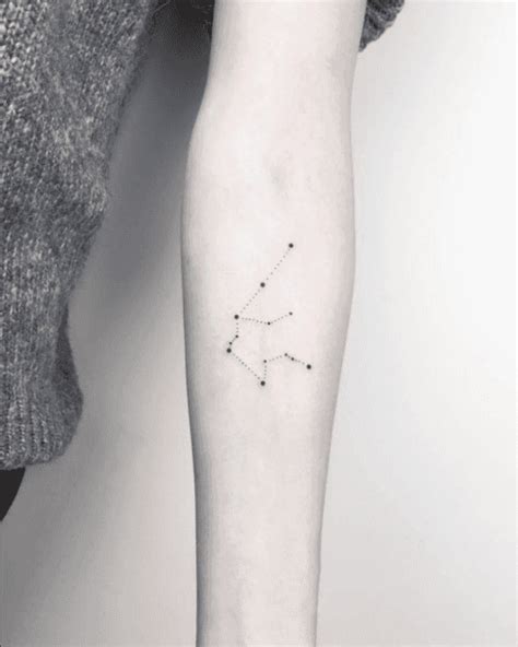 25 Best Zodiac & Constellation Tattoos For An Aquarius Zodiac Sign ...