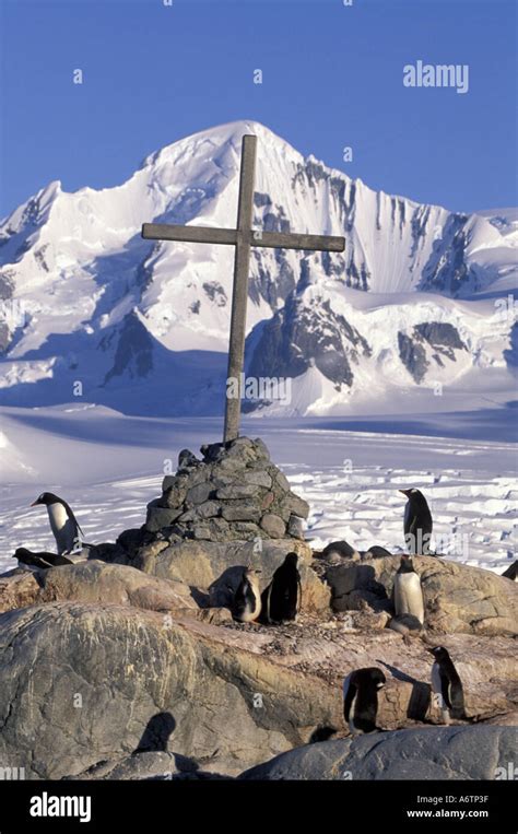 Antarctic Peninsula, Petermann Island, Gentoo penguins and cross on rock. Icebergs dot the ...