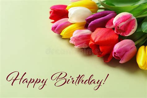 21,256 Happy Birthday Tulips Stock Photos - Free & Royalty-Free Stock ...