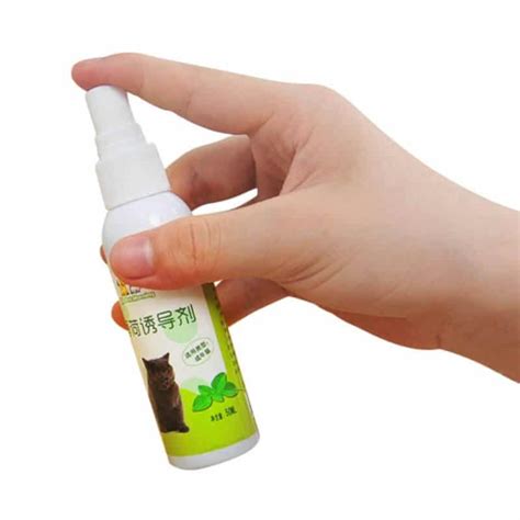 Buy Fresh Extract Catnip Spray in Kenya | PetSasa