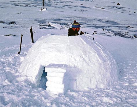 Making an igloo - because he can!