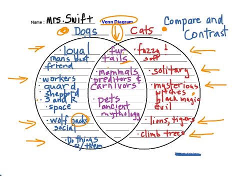 Comparison And Contrast Venn Diagram