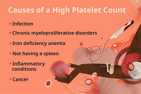 Thrombocytes Function