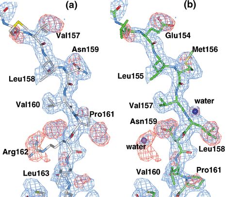 The Factor VII Zymogen Structure Reveals Reregistration of β Strands during Activation: Structure