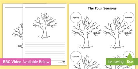 Four Seasons Tree Template - BBC Teach Video - Twinkl Partnership