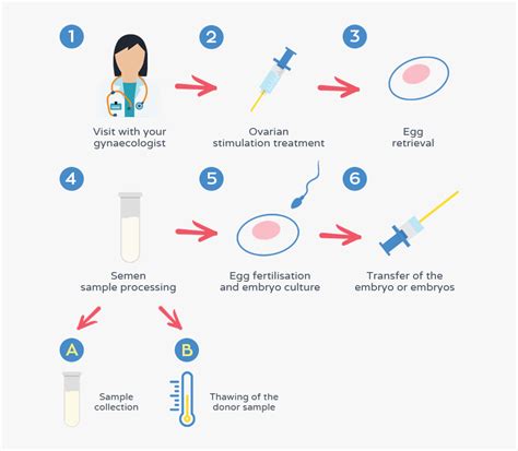 Pros and cons of in-vitro fertilization: What are the Pros and Cons of IVF