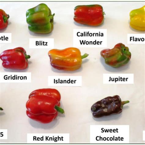 Organic pepper variety trial of total and early yields of total, fancy,... | Download Scientific ...