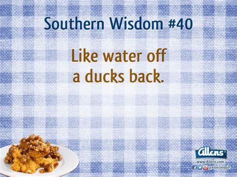 Southern Wisdom Quotes. QuotesGram