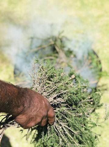 Smoking Ceremony - Go Cultural Aboriginal Tours and Experiences Reservations