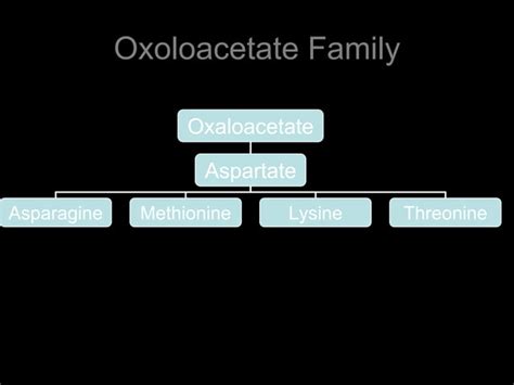 Biosynthesis of amino acids