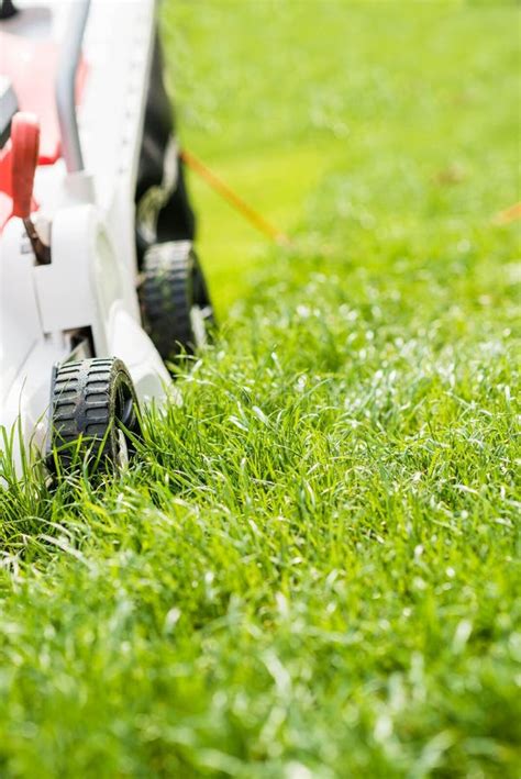 Lawn Mower Cutting Green Grass in Garden. Stock Photo - Image of green, gardening: 69833860