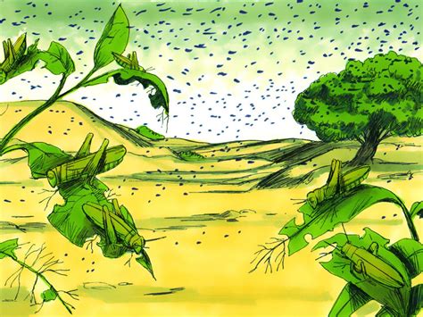 The Eight Plague - Locusts (Exodus 10:1-20) - PNC Bible Reading