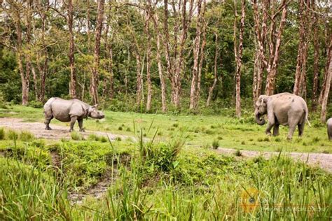 10 Best National Parks and Wildlife Sanctuaries in East India - Adventure Places in East India