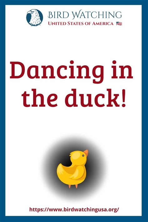 51 Funny Duck Puns & Pictures to Make You Smile!