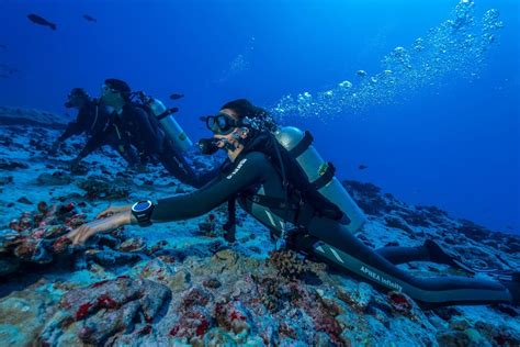 Scuba Diving in Fakarava North - TOPDIVE