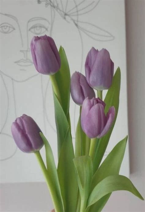 Ghim của Avalentina 💓 trên Pantalla de bloqueo iphone | Hoa tulip, Đồ ...