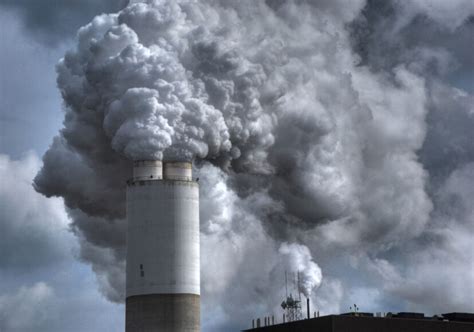 Pollution weakens the lungs’ immune defenses over time