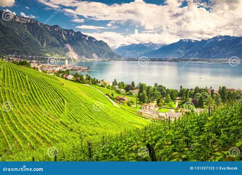 Montreux City with Swiss Alps, Lake Geneva and Vineyard on Lavaux Region, Canton Vaud ...