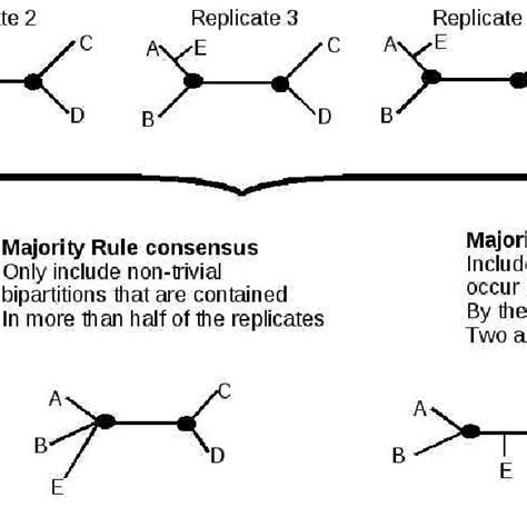 Outline of strict, majority rule, and majority rule extended consensus... | Download Scientific ...