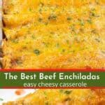 Easy Beef Enchiladas Recipe - Everyday Eileen