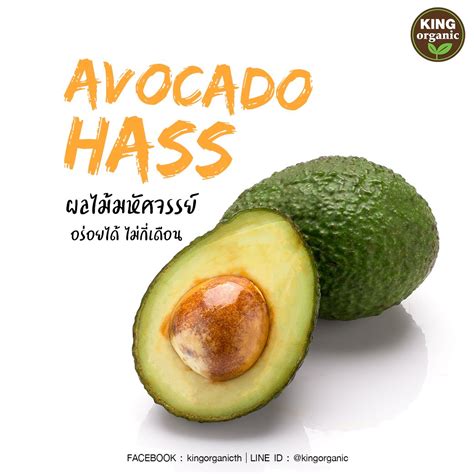 AVOCADO HASS | Tropical Green