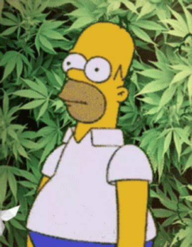 Homer Simpson Weed GIF - Homer Simpson Weed 420 - Discover & Share GIFs