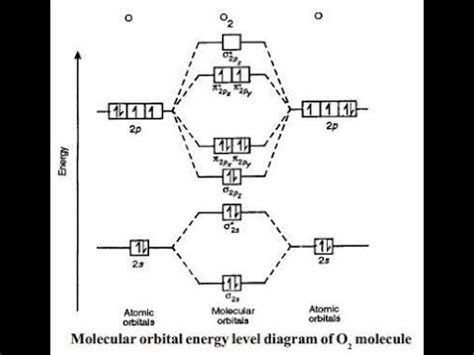 Complete This Valence Molecular Orbital Diagram For Oxygen O2 - Wiring Diagram Database