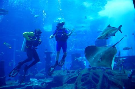 Dubai: Scuba diving with sharks at the Atlantis aquarium | Going-out ...