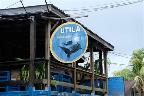 Utila Dive Center in Utila, Islas de la Bahía, Honduras | #ExperienceTransat – Memories of ...