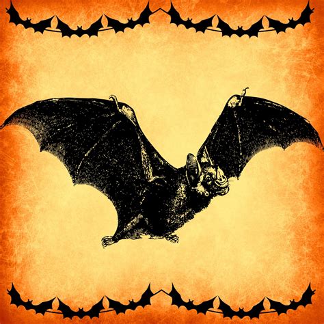 Vintage Halloween Bat Free Stock Photo - Public Domain Pictures