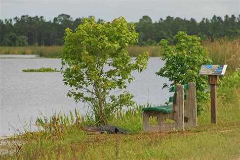 Orlando Wetlands Park | Trails & Travel