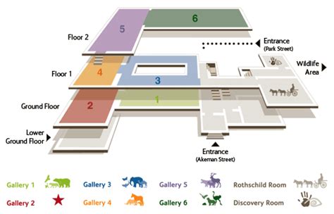 museum floor plan design - Google Search | Planer, Plakat