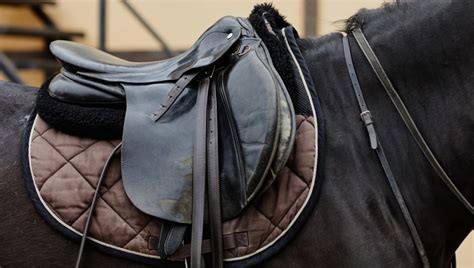 Essential Horseback Riding Equipment List | From Saddles to Riding Boots